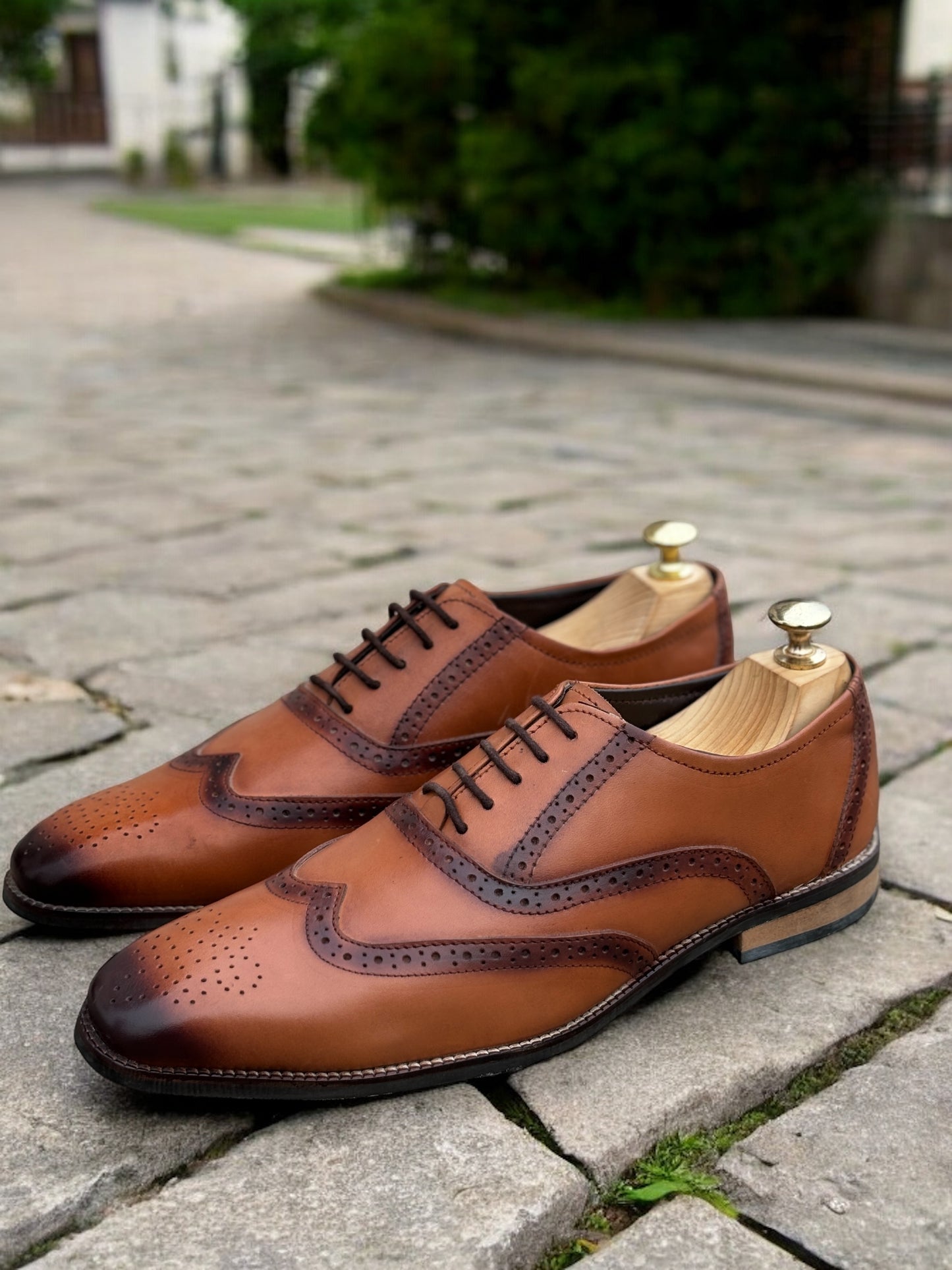 Cavendish Clay — Dual-Tone Wingtip Oxford